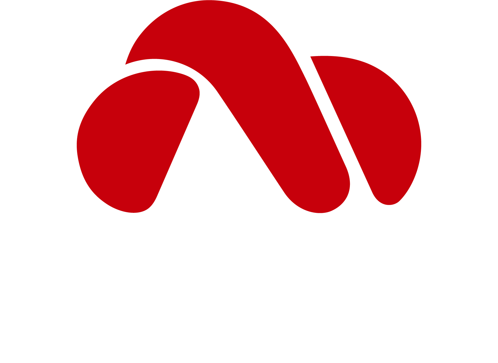Logo Huawei